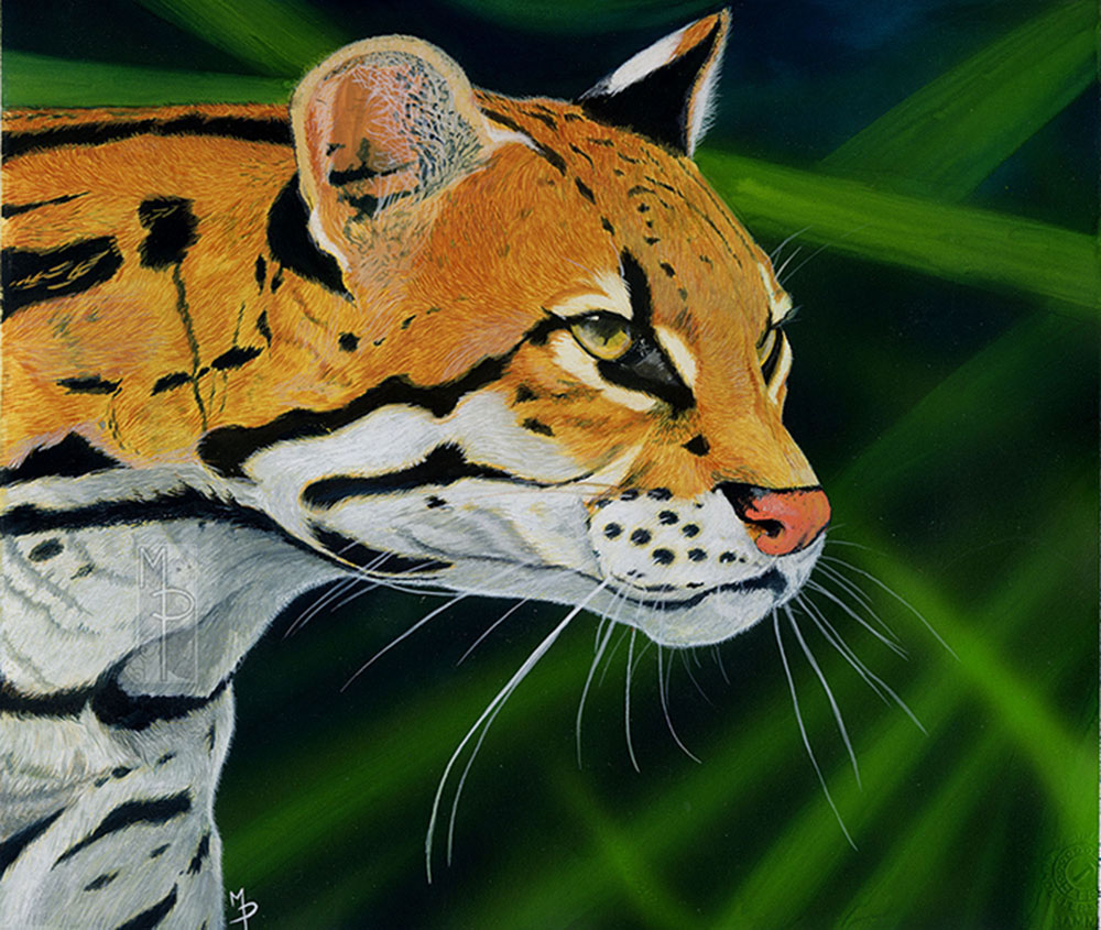 Ocelot, acrylic and airbrush on paper.