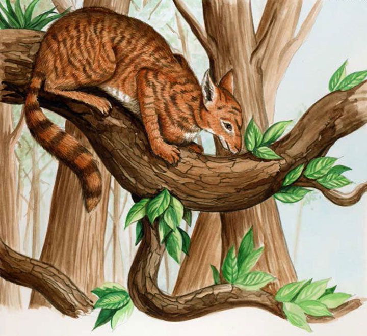 Acquarello, illustrazione tratta dal libro”Nel mondo perduto con mamma gatta” e pubblicata anche su “Historical geology” Cangage Learning edizioni. 
