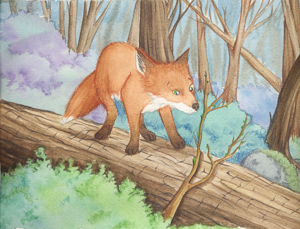 Illustration from the story "Buddy investigates"